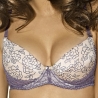 SILANA Beige and Steel Blue Lace Push up Bra 