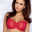 Pamela - Raspberry Red Sheer Balconette: 30D