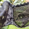 Silver Star - Black Lace Balconette Bra