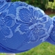 So Special - Blue Lace Push up Bra