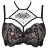 Seductive Woman 9 - Lace Push up Bra