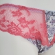 Aquila - Coral Lace Bikini Panties