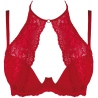 Summer Love 2 - Red Padded Bra