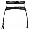 Poison - Black Lace Garter Belt