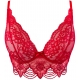 Golden Dream - Red Lace Longline Bra