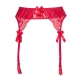 Sexy Plus Line 6 - Red Garter Belt