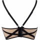 Golden Dream - Black Lace Longline Bra