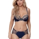 Blue Lagoon 1 - Navy Blue Sheer Brief
