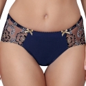 Blue Lagoon 1 - Navy Blue Sheer Brief