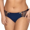 Blue Lagoon 1 - Navy Blue Sheer Brief