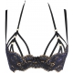 Valley of Sensations 2 - Golden Blue Lace Bra