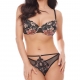 Fortune - Black Sheer Lace Push up Bra