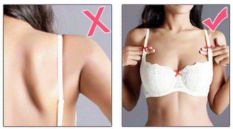 bra and bra Cheaper Than Retail Price Buy Clothing, Accessories and lifestyle pr